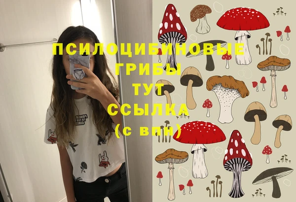 apvp Семилуки