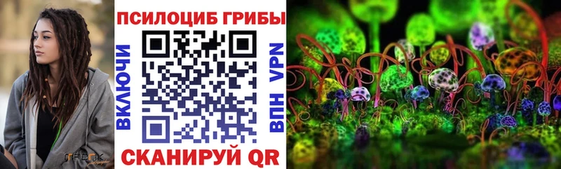 закладка  Верхнеуральск  даркнет телеграм  Псилоцибиновые грибы мицелий 